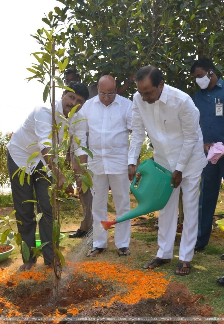 కోటి వృక్షార్చనలో రుద్రాక్ష మొక్క నాటిన కేసీఆర్
